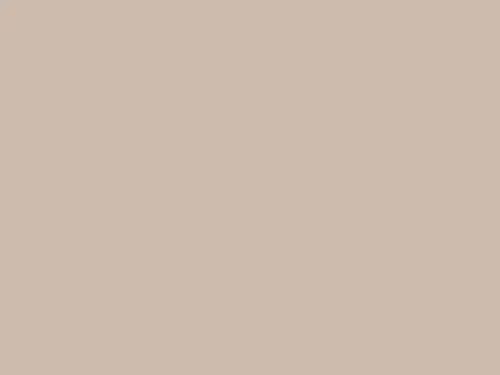 Dulux Interior and Exterior Dessert Sand Paint (80YR59/089) (2)