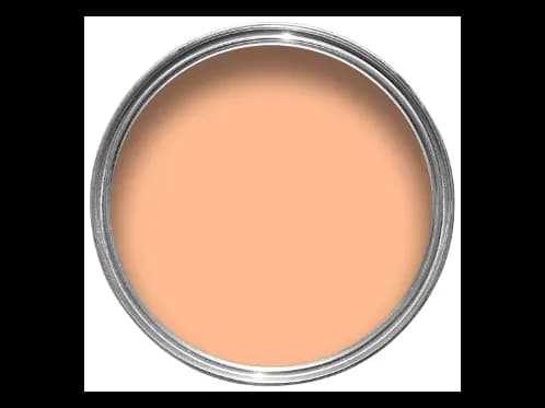 Dulux Interior and Exterior Peach Paint (90YR67/204) (2)