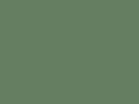 Dulux Interior and Exterior Woodland Pearl Paint (55GY18/171) (2)