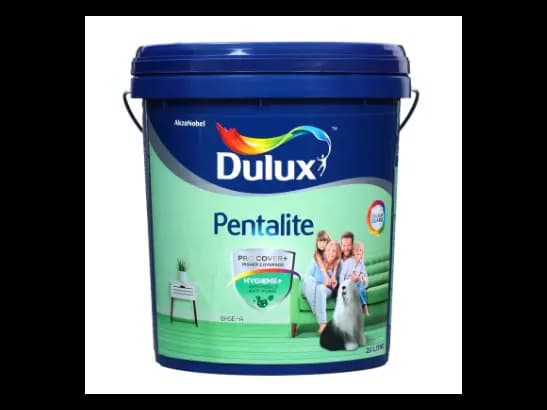Dulux Interior and Exterior Rose White Paint (10YY78/146)