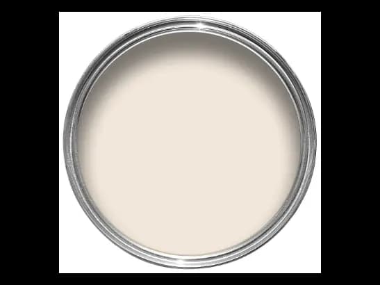 Dulux Interior and Exterior Rose White Paint (10YY78/146) (2)