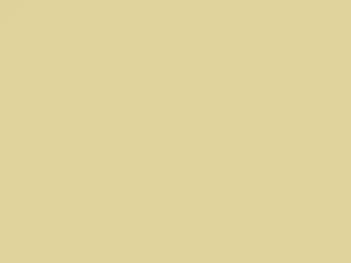 Dulux Interior and Exterior Spring Willow Paint (60YY64/211) (2)