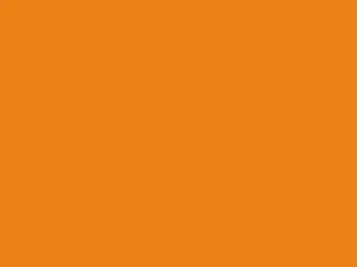 Dulux Interior and Exterior Orange Lantern Paint (75YR50/405) (2)