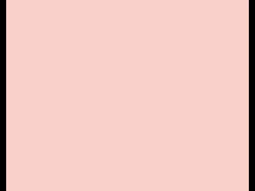 Dulux Interior and Exterior Fairytale Pink Paint (30YR70/176) (2)
