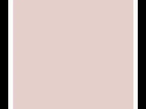 Dulux Interior and Exterior Pink Marble Paint (92YR73/126) (2)
