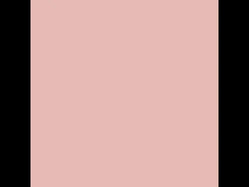 Dulux Interior and Exterior Rose Paint (90YR71/144) (2)