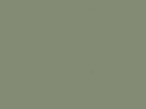 Dulux Interior and Exterior Minerva Grey Paint (80YY44/046) (2)