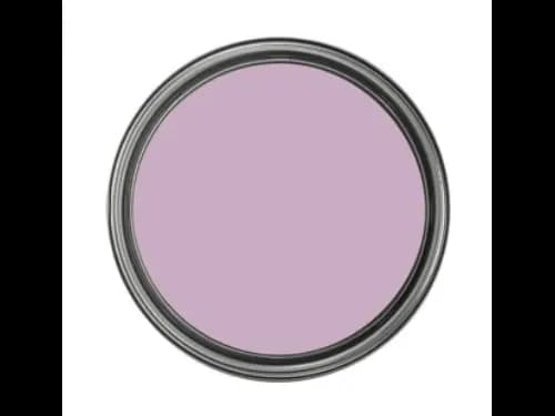 Dulux Interior and Exterior Lilac Paint (06RR44/075) (2)