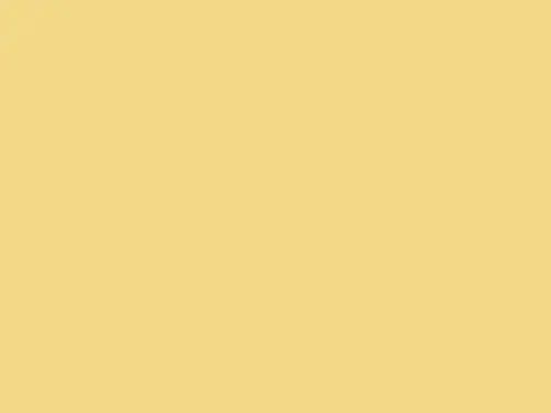 Dulux Interior and Exterior Rich Yellow Paint (50YY71/369) (2)