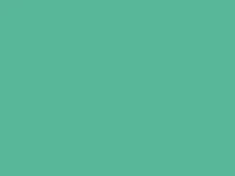 Dulux Interior and Exterior Emerald Green Paint (97GY51/268) (2)