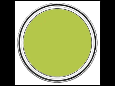 Dulux Interior and Exterior Cool Lemon Paint (04GY51/578) (2)