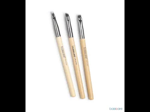 Lip & Eye Artist Brushes kit