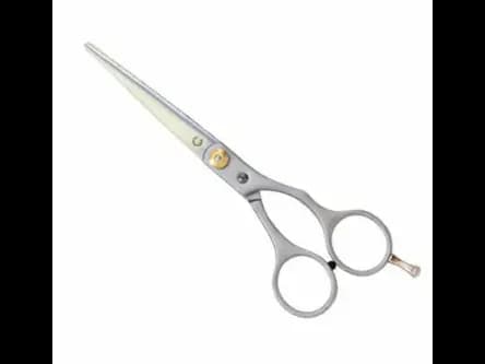 Hair Dressing Scissor