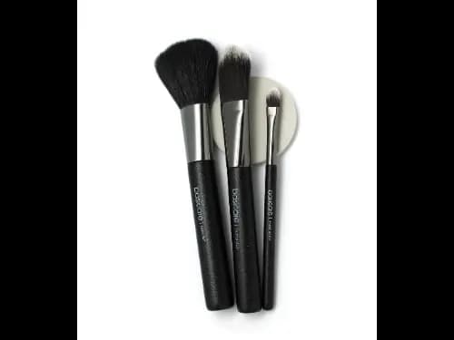 Makeup Brush Set