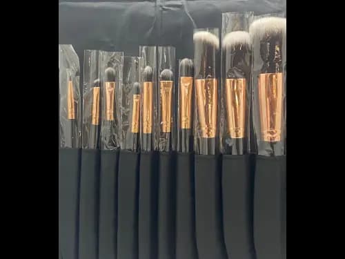 MUST- 10 Pcs Makeup brush set