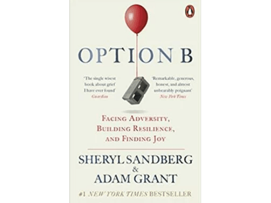 Option B