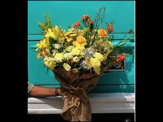 Yellow Sunshines: A Burst of Joy!