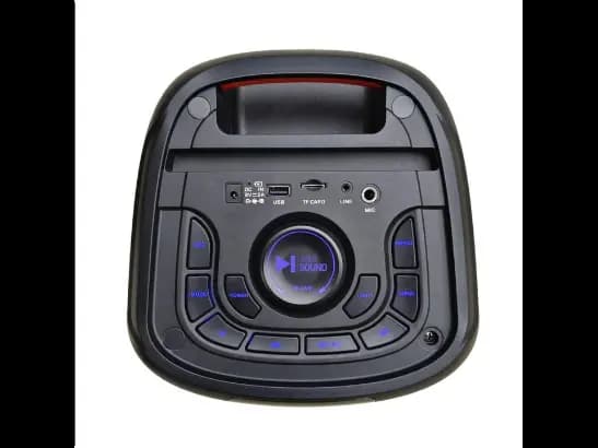 SWISS SOUND SS 620 SPEAKER (2)