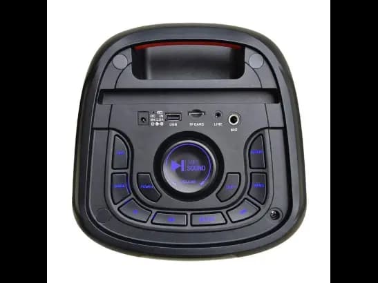 SWISS SOUND SS 1033 SPEAKER (2)