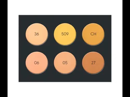 Viana Stick Foundation Palette - 15.5g (2)