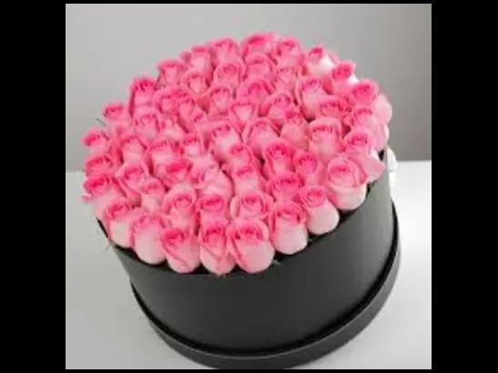 50 Pink Rose Love Bunch