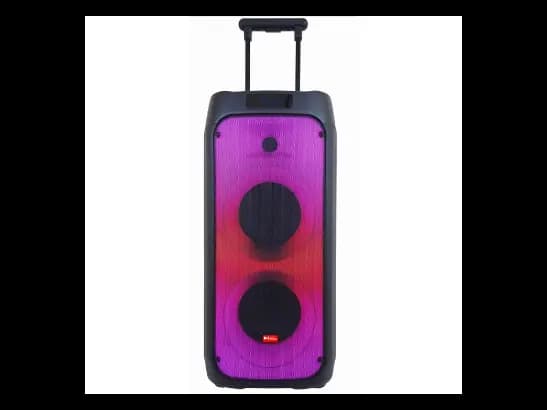 SWISS SOUND SS 811 SPEAKER