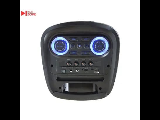 SWISS SOUND SPEAKER SS-1016 (3)