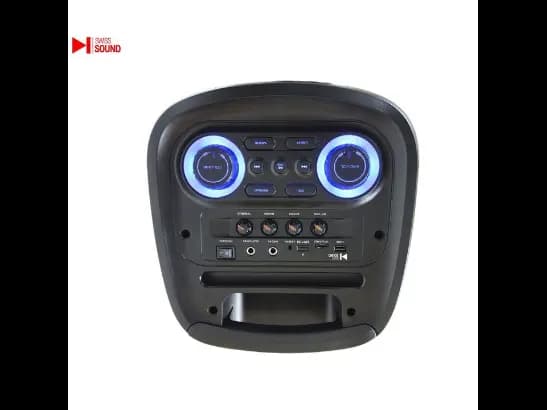 SWISS SOUND SPEAKER SS-1012 (3)