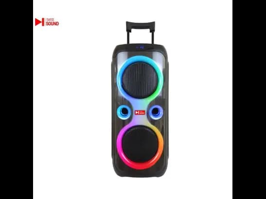 SWISS SOUND SPEAKER SS-1012 (2)
