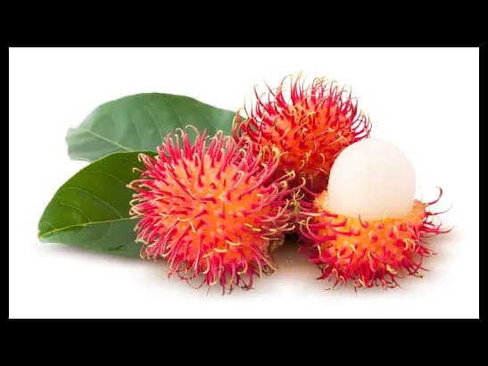Rambutan - Pre-order (2)