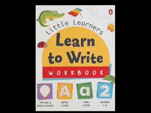 LITTLE LEARNERS LEARN TO WRITE WORKBOOK