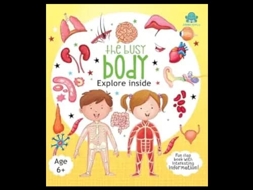 THE BUSY BODY - EXPLORE INSIDE