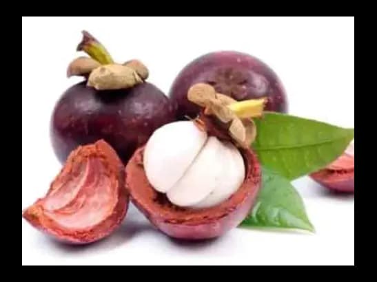 Mangosteen - Pre-order (2)