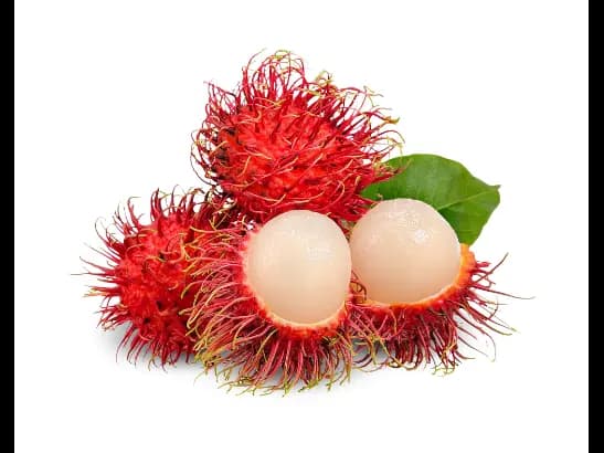 Rambutan - Pre-order