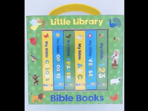 LITTLE LIBRARY - BIBLE BOOKS