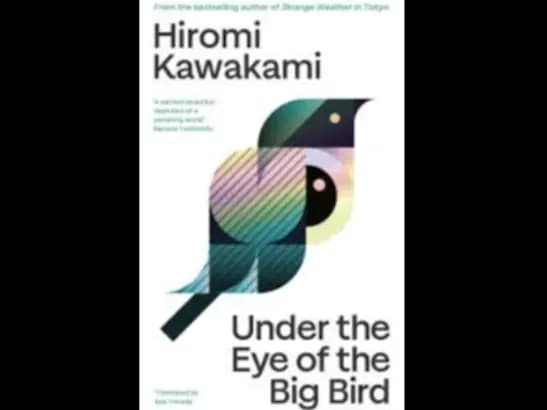 UNDER THE EYE OF THE BIG BIRD