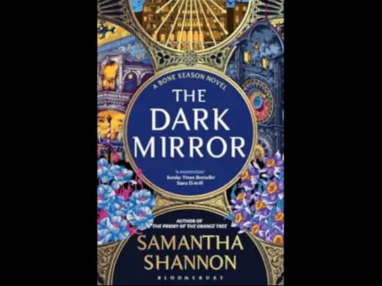 THE DARK MIRROR