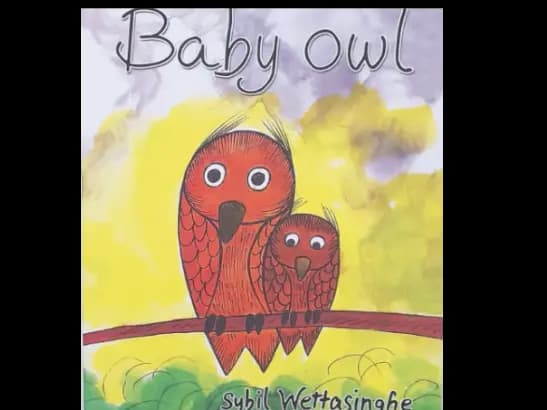 BABY OWL