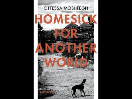 HOMESICK FOR ANOTHER WORLD