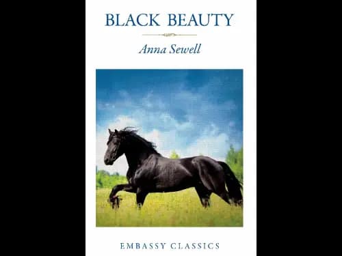 EMBASSY CLA - BLACK BEAUTY
