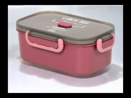 Lunch Container for Kids and adults (5)