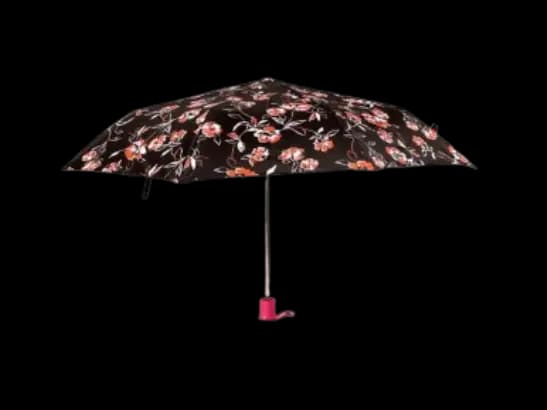 Rainco - REGULAR PRINTED – BELLFLOWER COLLECTION (1070) (3)