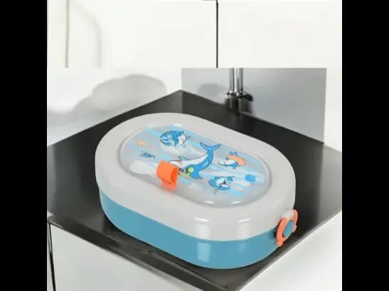 Lunch Container for Kids (3)