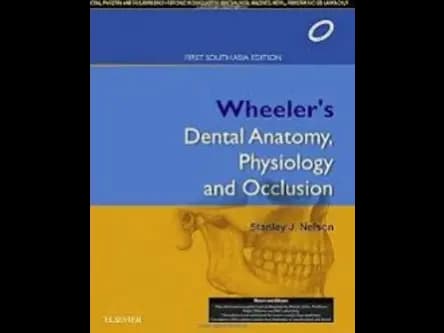 Wheelers Dental Anatomy Physiology and Occlusion : First South Asia Edition (OEB) by Stanley J.Nelson