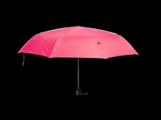 Rainco - Frame With Nylon Silver Fabric – 3 Fold Umbrella-TM1771 (3)