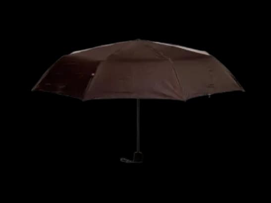 Rainco - Frame With Nylon Silver Fabric – 3 Fold Umbrella-TM1771