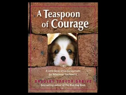 Teaspoon of Courage : A Little Book of Encouragement for Whenever You Need It by Bradley Trevor Greive