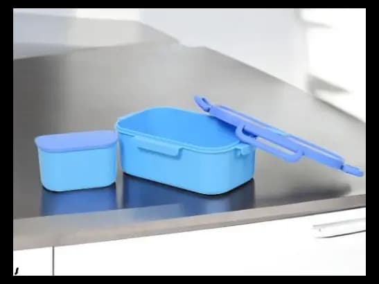 Lunch Container for Kids (2)