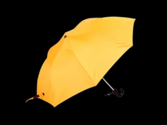 Rainco Ritual Umbrella – Yellow – 2 Fold Umbrella – 1044 (3)