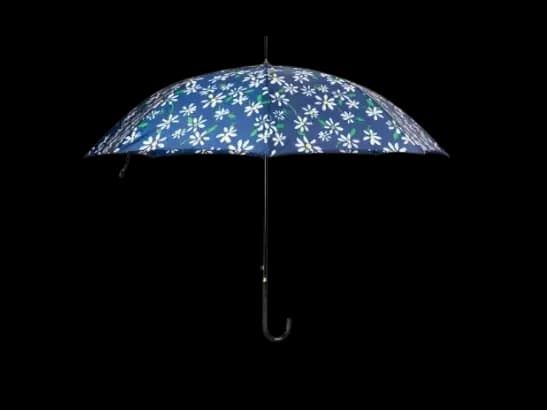Rainco Curved Handle Ladies Umbrella – 3-Fold 1350KT (2)